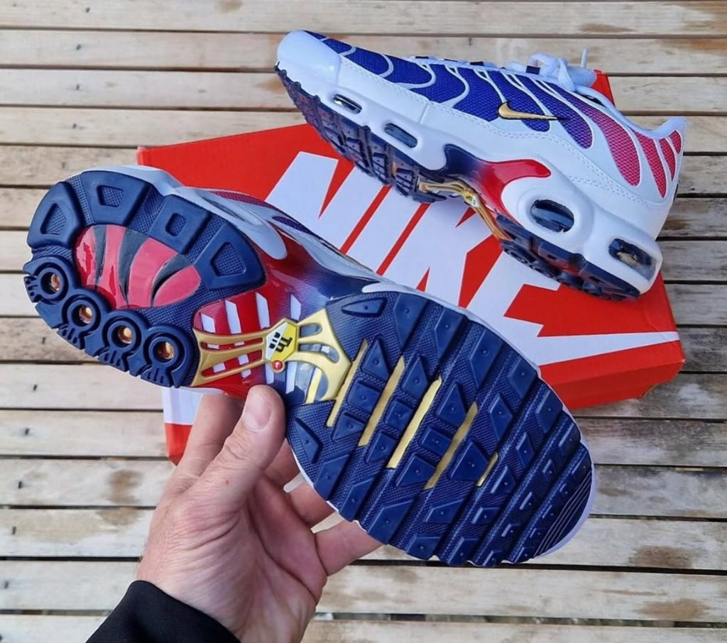 Nike Air Max Tn PSG