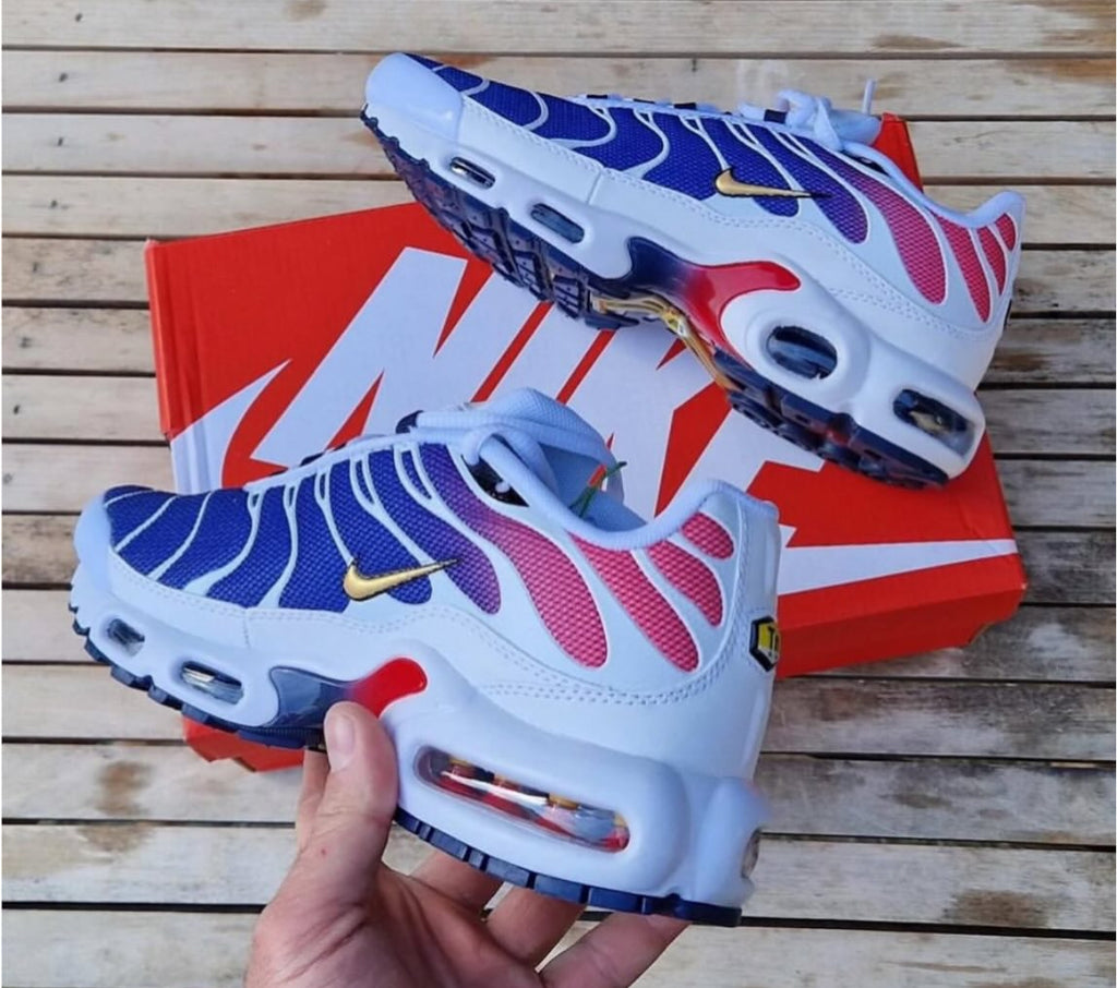 Nike Air Max Tn PSG