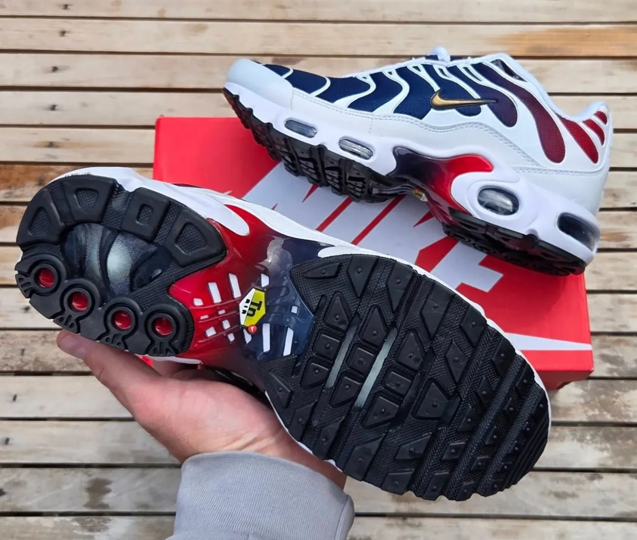 Nike Air Max Tn Plus PSG