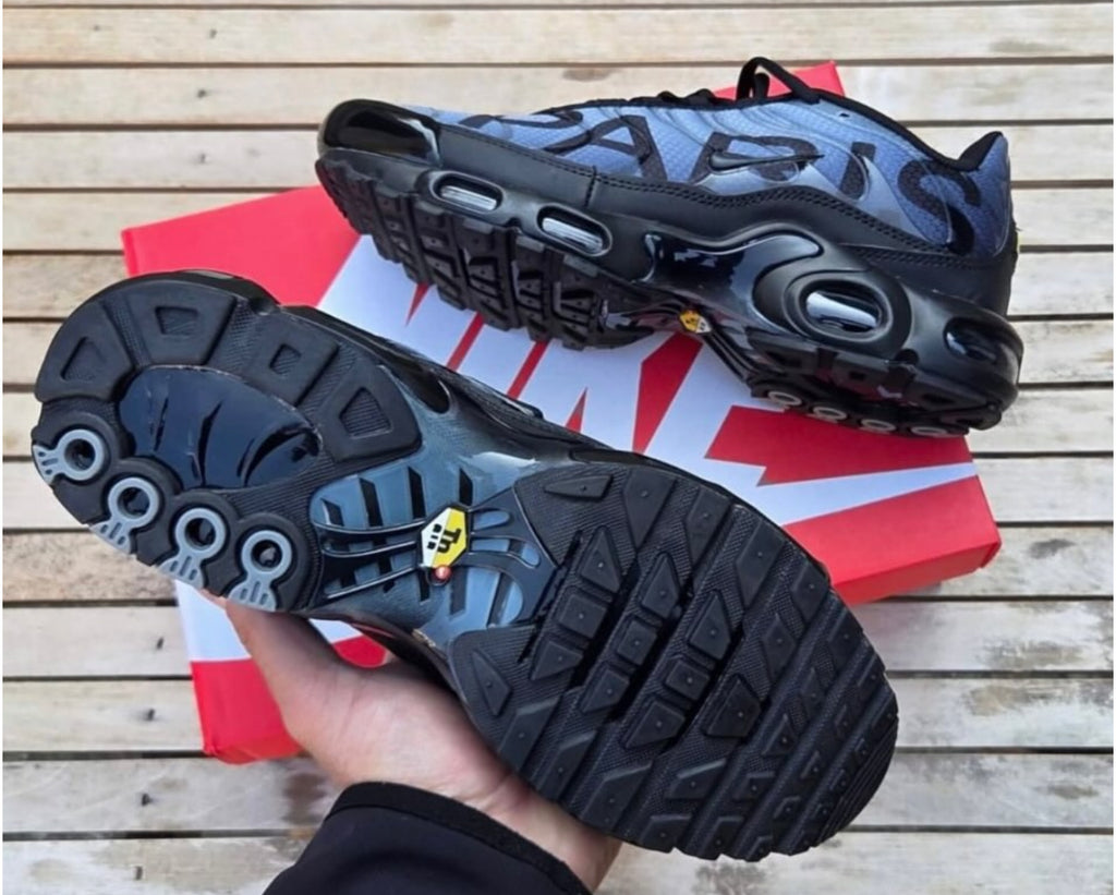 Nike Air Max Tn Paris
